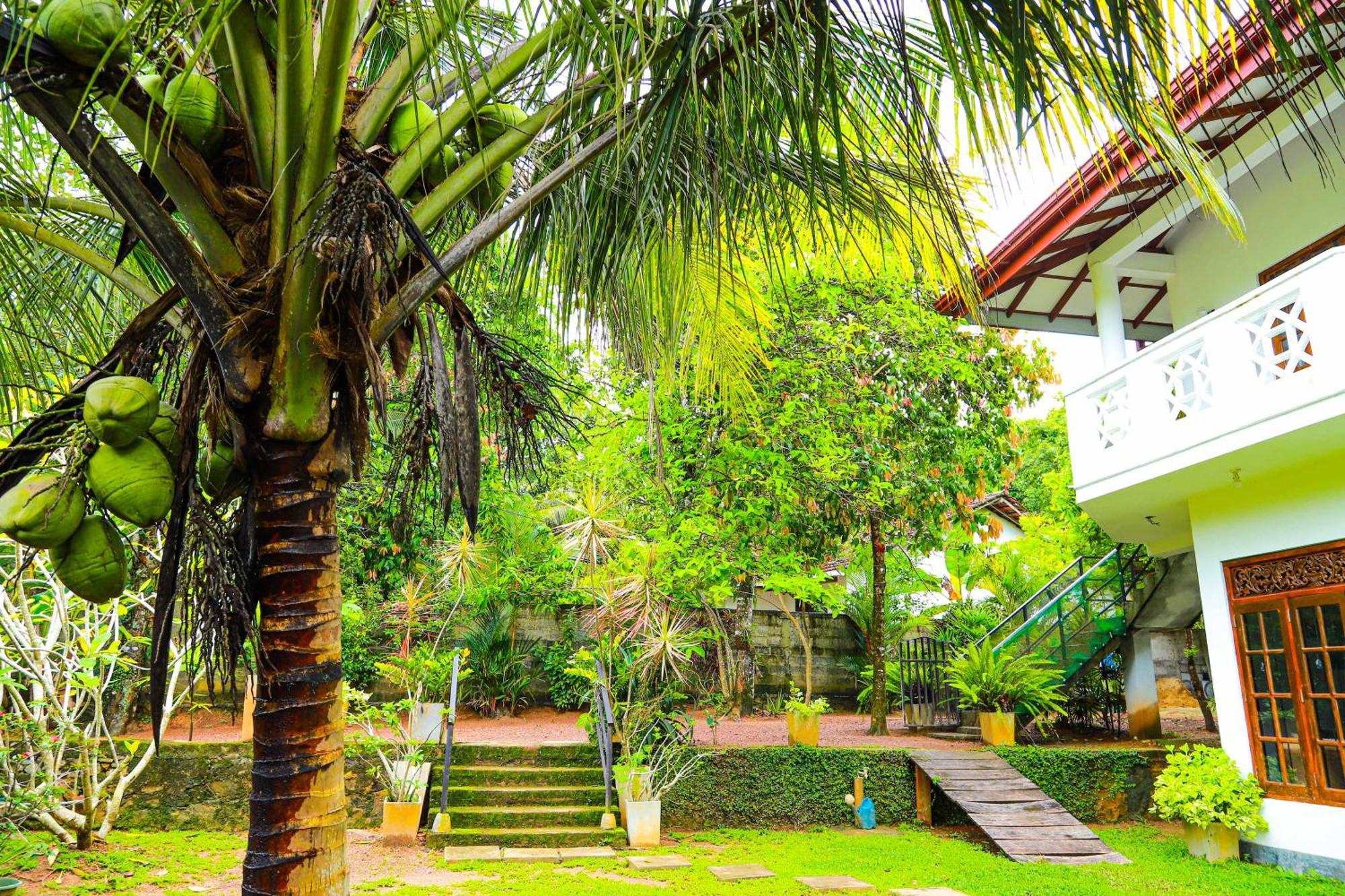 Dil'S Place Beruwala Exteriér fotografie