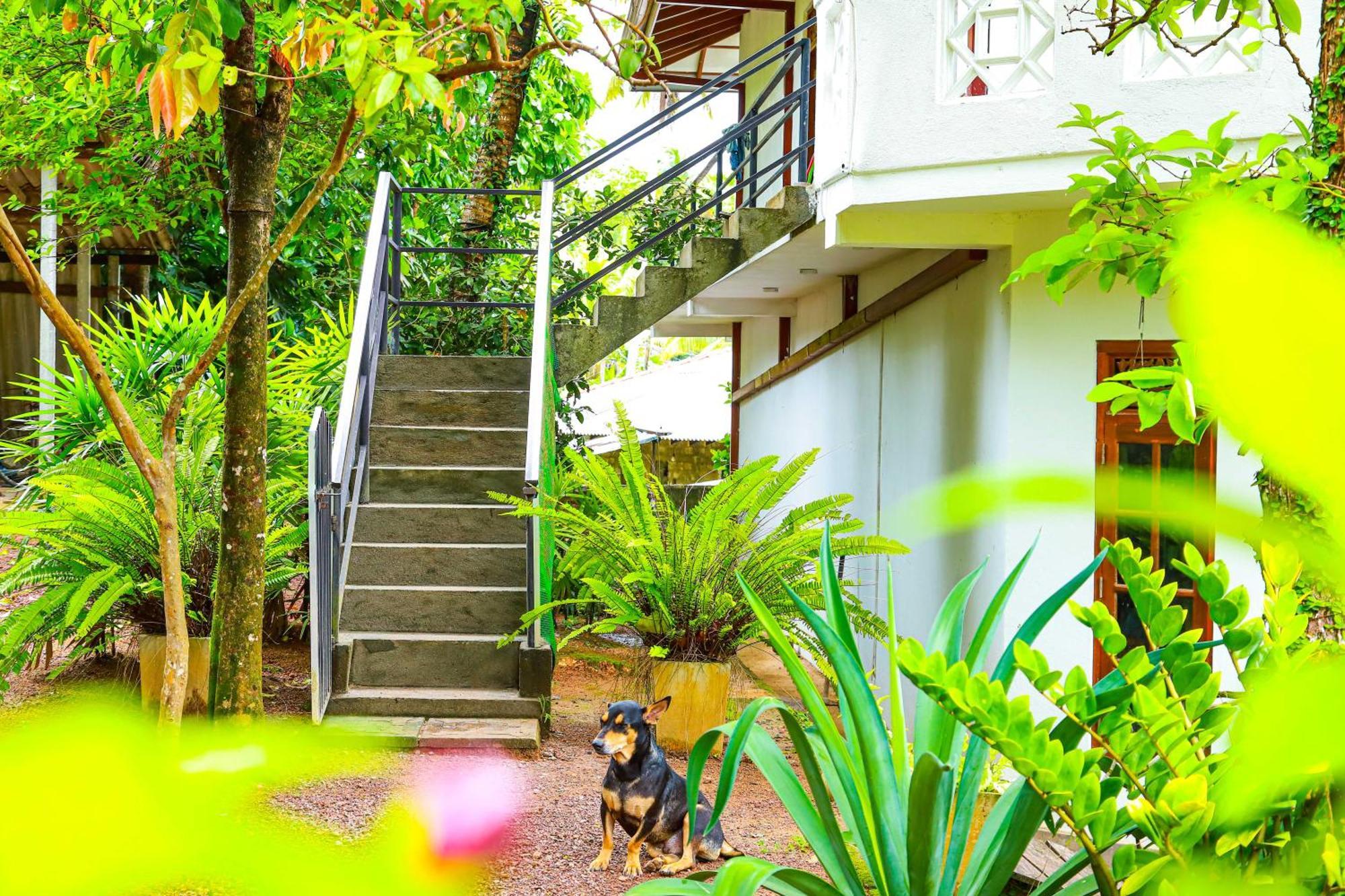 Dil'S Place Beruwala Exteriér fotografie