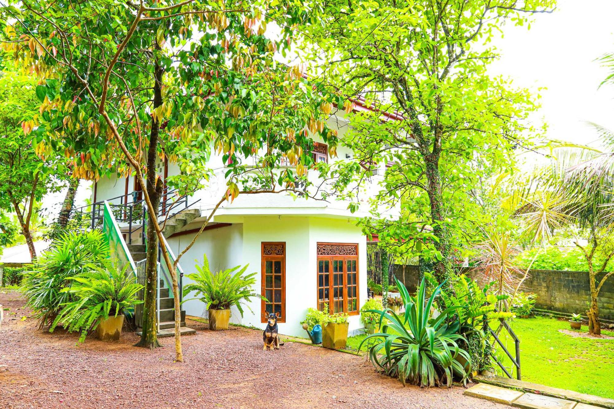 Dil'S Place Beruwala Exteriér fotografie